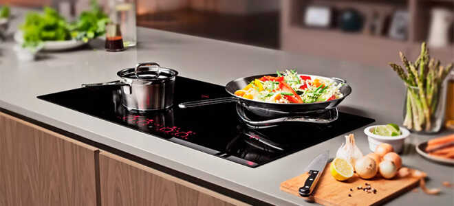 16 лучших индукционных плит