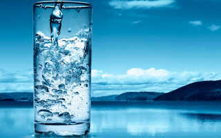 11 лучших ионизаторов воды