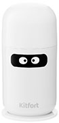Nintendo Wii