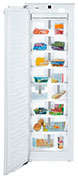 Nintendo Wii