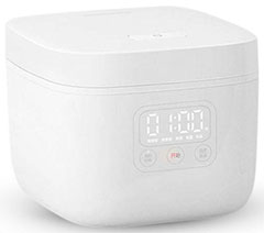 Xiaomi DFB201CM