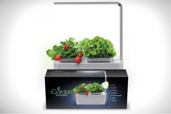 iGarden